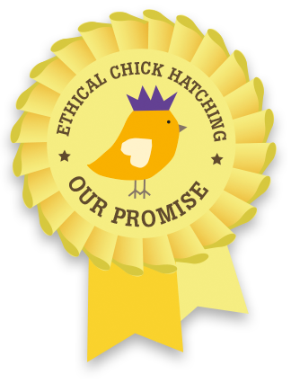 Ethical chick hatching - pur promise.